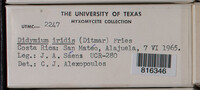 Image Associated With the Occurence